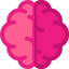 Brain