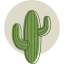 Кактус