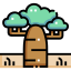 Baobab