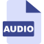Audio