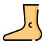 Foot