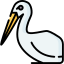 Stork