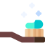 Toothbrush
