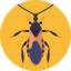 Bug