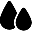 Essential Oil