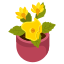 Flower Pot