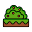 Bush