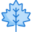 Maple leaf