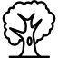 Oak