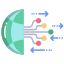Global