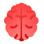 Human brain