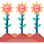 Field