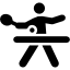 Pin Pong