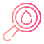 Search