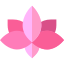 Цветок лотоса