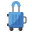 Luggage