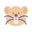Beaver
