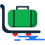 Luggage