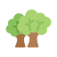 Trees