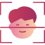Facial recognition