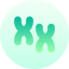 Chromosomes