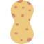 Sponge