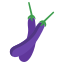 Eggplant
