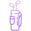 Golf bag