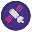 Satellite