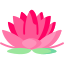 Lotus flower