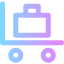 Luggage