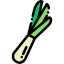 Spring onion