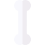 Bone