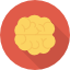 Brain