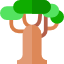 Baobab