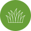 Bush
