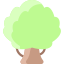 Oak