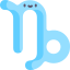 Capricorn