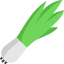 Onion