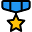 Medal of honor