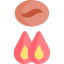 Roast