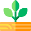 Farm