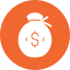 Money bag