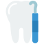 Teeth