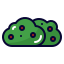 Bush