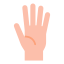 Hand