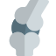 Joint