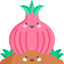 Onion