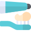 Brush