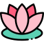 Lotus flower